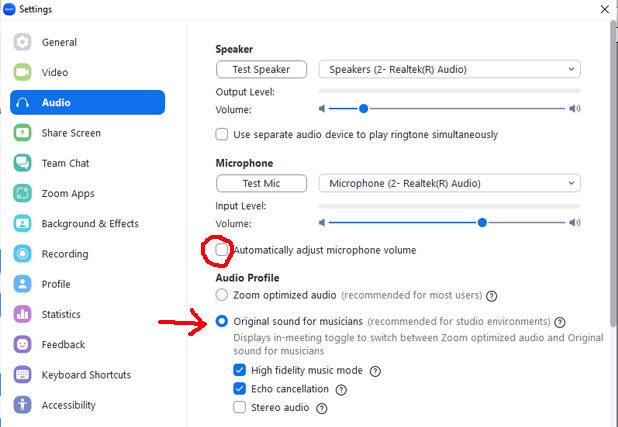 ZOOM Settings for Online Music Lessons - Desktop Version | Violin ...